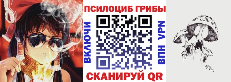 Галлюциногенные грибы Psilocybe купить цена Кола