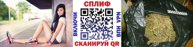 Конопля гибрид  Кола 